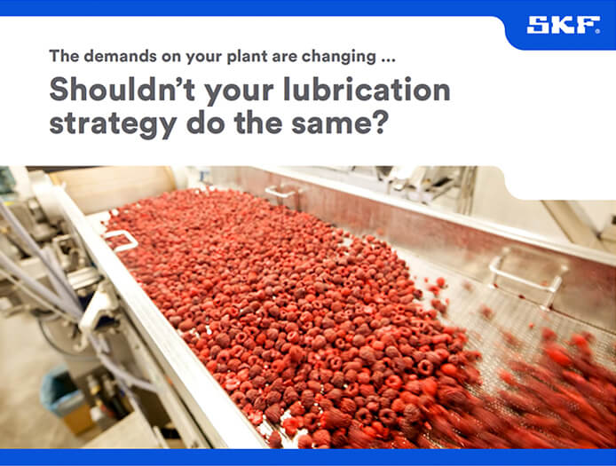 Lubrication Strategy in Food and Beverage Sector 